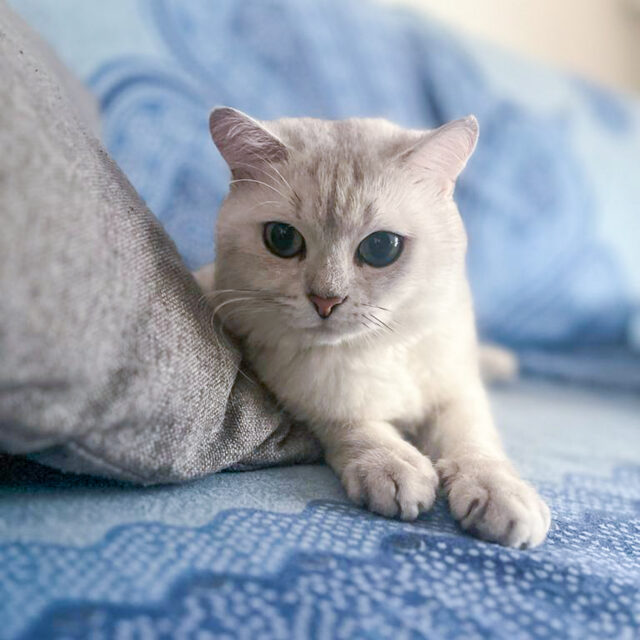 Yuki