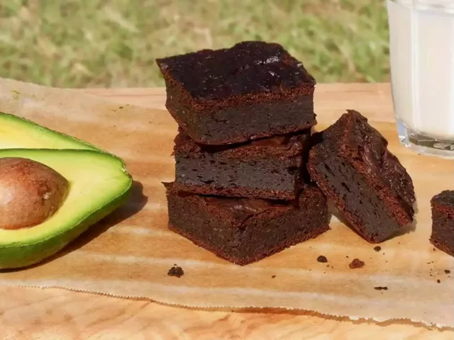 6 aliments toxiques pour les chats à éviter absolument en 2026